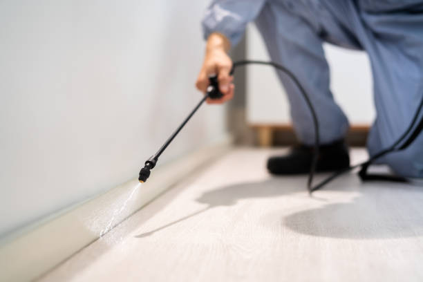 Licensed Fumigation Services service in West Rancho Dominguez, CA - Nex Pest Control