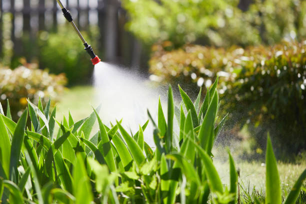 24/7 Emergency Fumigation Services experts in West Rancho Dominguez, CA