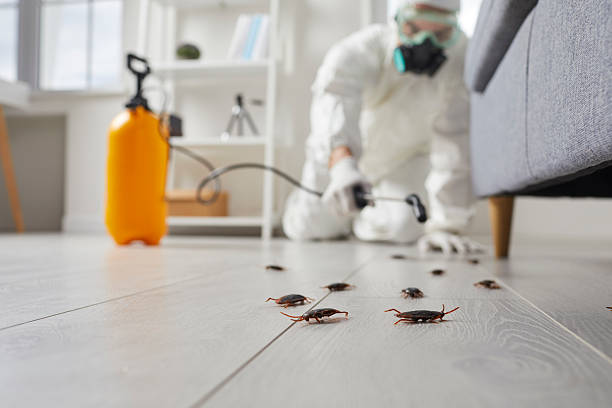 Trusted Rodent Control service in West Rancho Dominguez, CA - Nex Pest Control