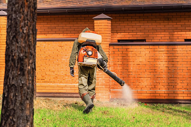 Trusted Fumigation Services service in West Rancho Dominguez, CA - Nex Pest Control